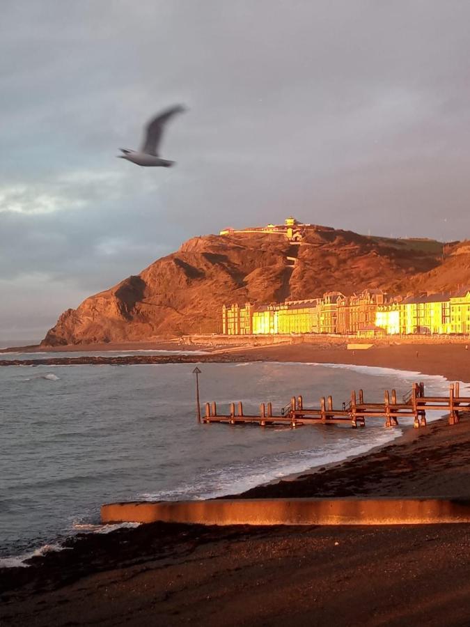 Adail Cottage Aberystwyth Zewnętrze zdjęcie